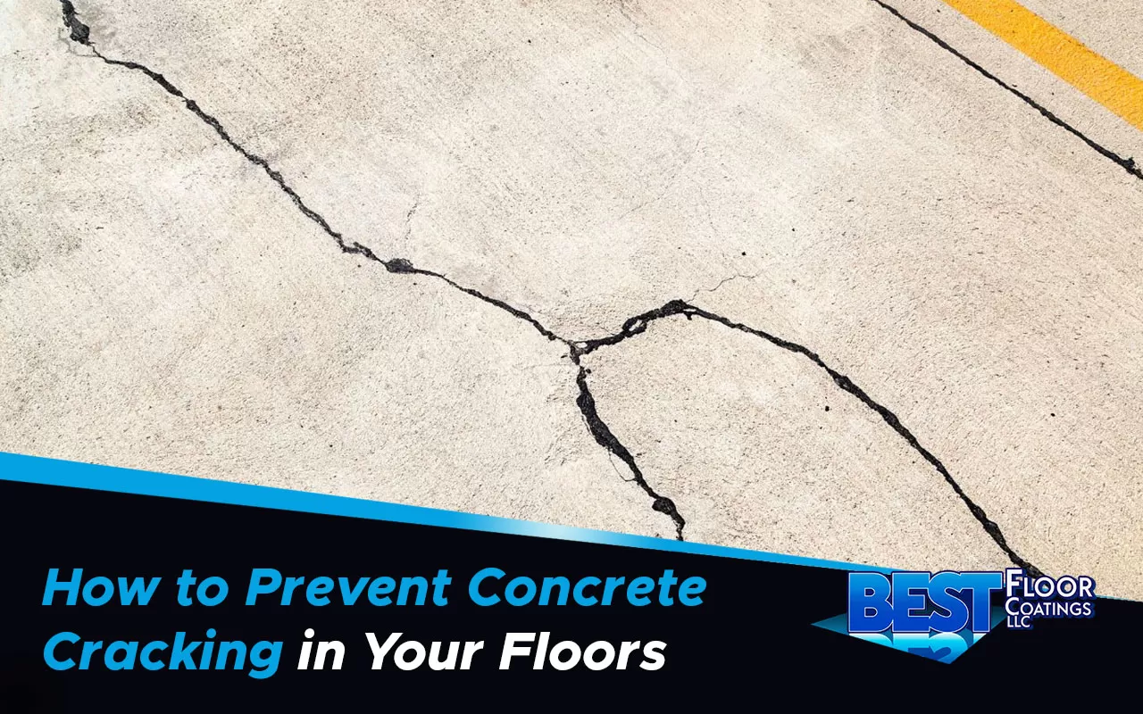 Close-up of cracked concrete floor